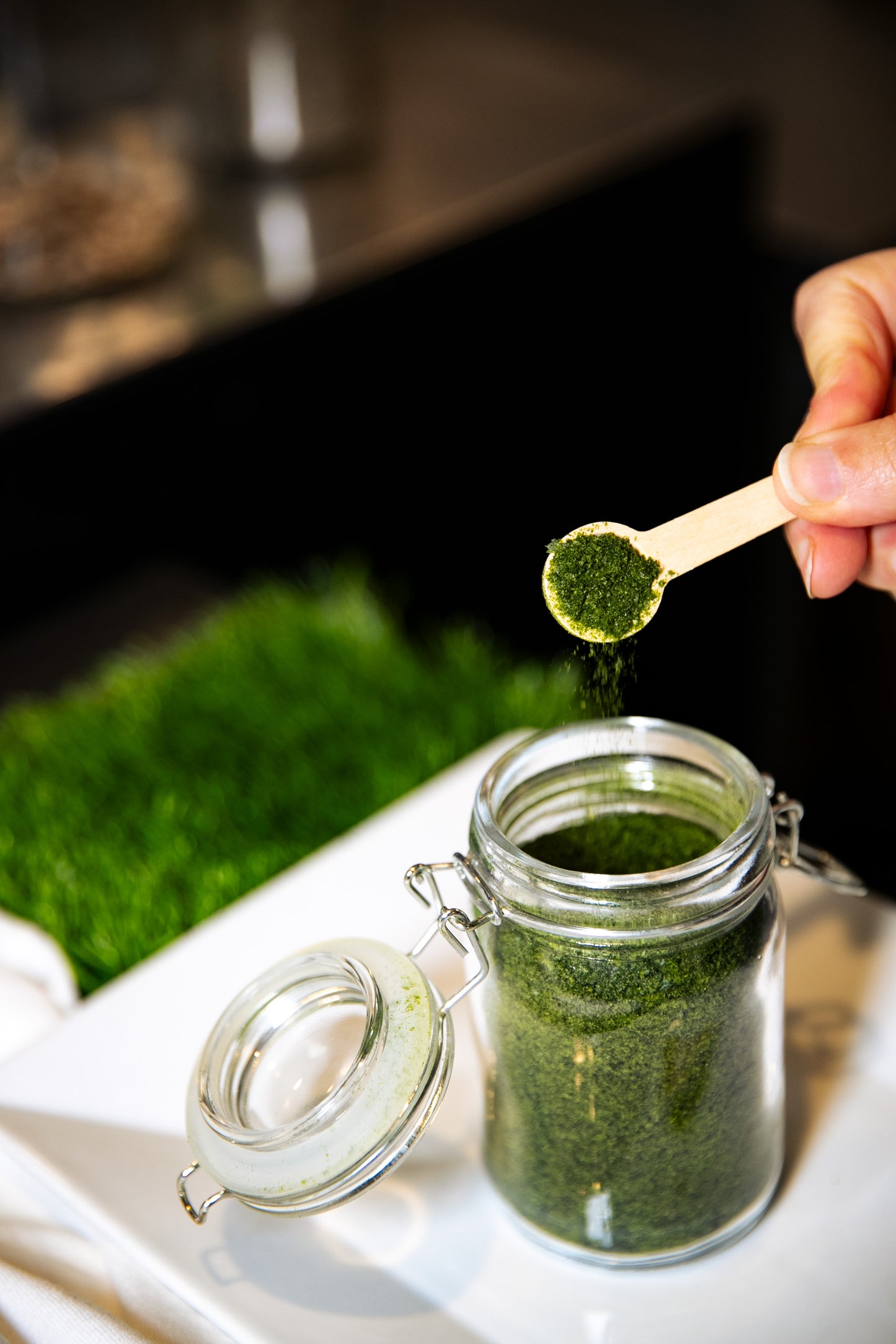 Fresh Wheatgrass Juice Powder